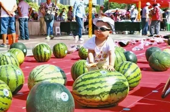 每日大乱斗吃瓜大赛,一场全民狂欢的视觉盛宴