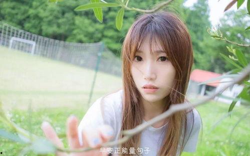 精品一区二区电影l日韩美女人体一区二区,视觉盛宴与情感交织